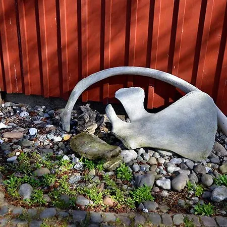 Schreinerhaus Apartment *