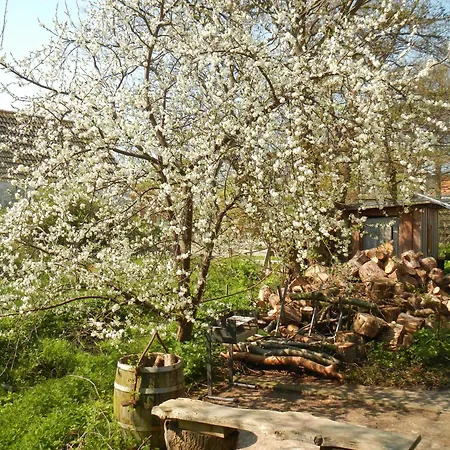 Schreinerhaus Apartment Vitte